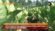 Situación actual de los productores afectados por la sequía en Misiones