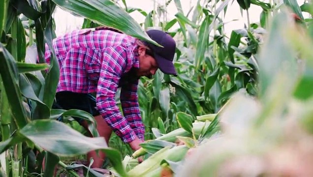Documental Suelo vivo, alimentos sanos - Universidad Nacional de Luján