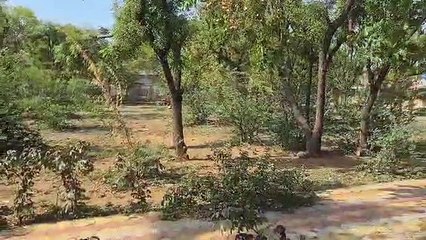 चौराहों पर खुले में जलता फैक्ट्रियों का कचरा, बढ़ा रहा प्रदूषण और परेशानी
