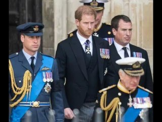 L'atteggiamento "rivoltantemente maleducato" del principe Harry nei confronti del re lascia il pubbl