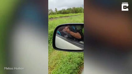 Ils découvrent un énorme Python sur leur voiture