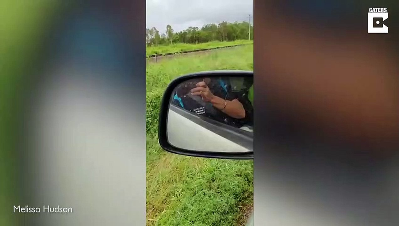 Ils découvrent un énorme Python sur leur voiture