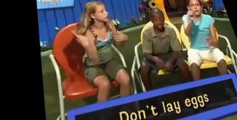 Fetch! with Ruff Ruffman Fetch with Ruff Ruffman S02 E008