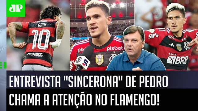 ISSO NÃO PODE! O Pedro RECLAMOU e COM RAZÃO! O Flamengo... Mauro Cezar É DIRETO após entrevista!