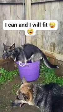 Even If It Barely Fits, I Sit