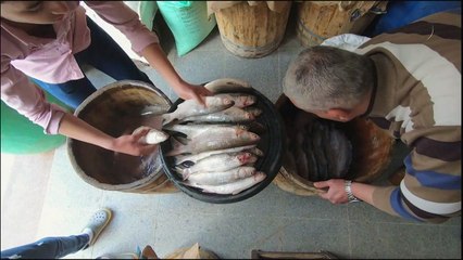 نبروه .. مدينة في دلتا النيل تنتج الأسماك المملحة منذ أكثر من مئة عام