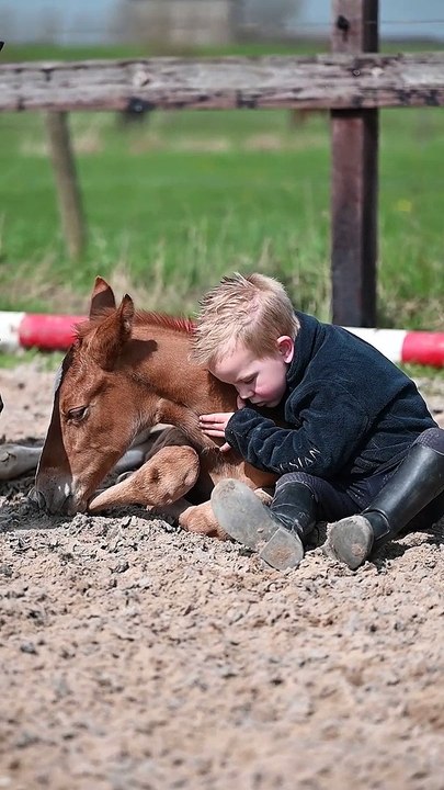 A Boy And His Foals
