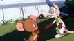 Tom Jerry Kids Show Tom & Jerry Kids Show E020 – Slowpoke Antonio – Haunted Droopy – Wildmouse