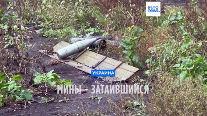 Треть Украины усеяна минами: на разминирование уйдут годы и миллиарды долларов