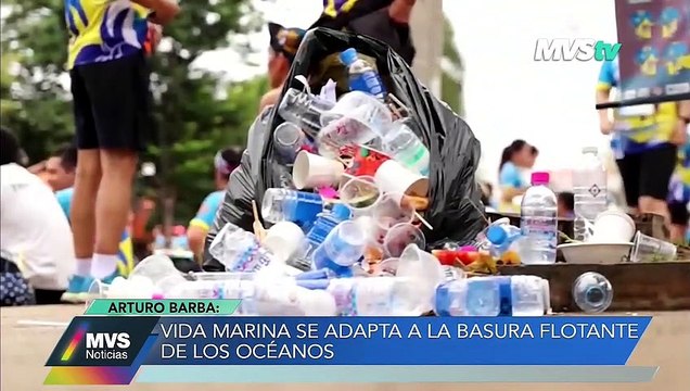 VIDA MARINA SE ADAPTA A LA BASURA FLOTANTE DE LOS OCÉANOS