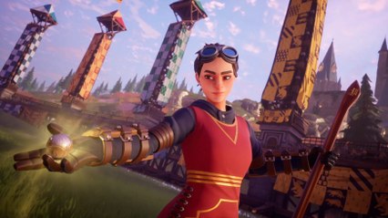 Harry Potter: Campeones de quidditch