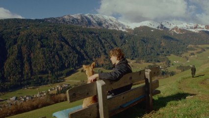 Zartmann - Ein Anruf entfernt