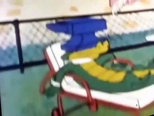 Wally Gator Wally Gator E038 – Accidentally on Purpose