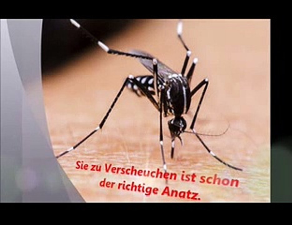 Die Sinne der Mücken - Schlagen kann schon helfen