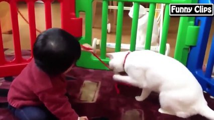 Funny babies annoying dogs - Cute dog & baby compilation (2)