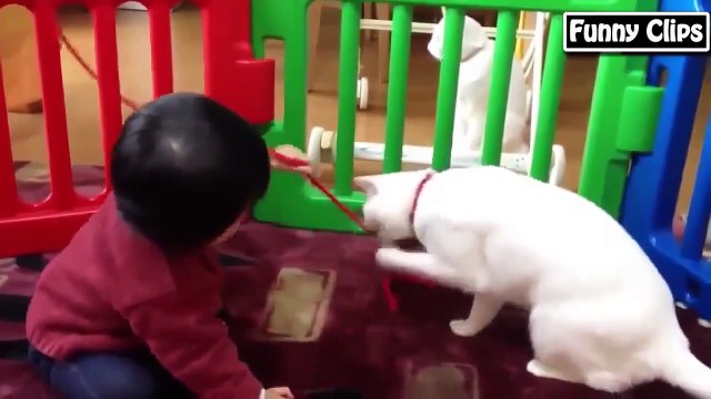 Funny babies annoying dogs - Cute dog & baby compilation (2)