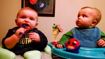 Cute Twins Baby Fighting Over - Funny Cute Video (2)