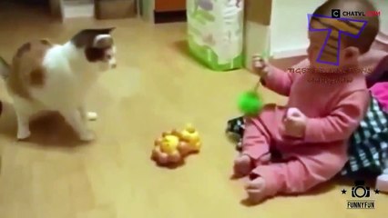 Funny Videos Animals Remix Compilation   Funny Animal Video   Funny Cats Videos   Funny Ca