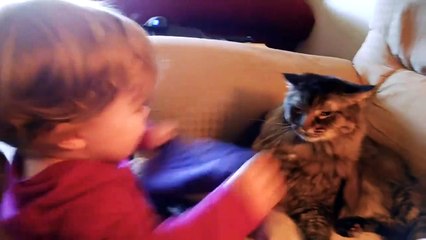 Funny Baby and Cat Playing Together - Fun and Fails Baby Video (2)