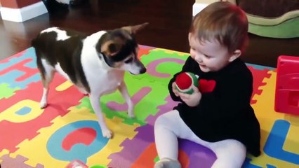 Funny Babies and Naughty Dogs are Best Friends - Fun and Fails Baby Video