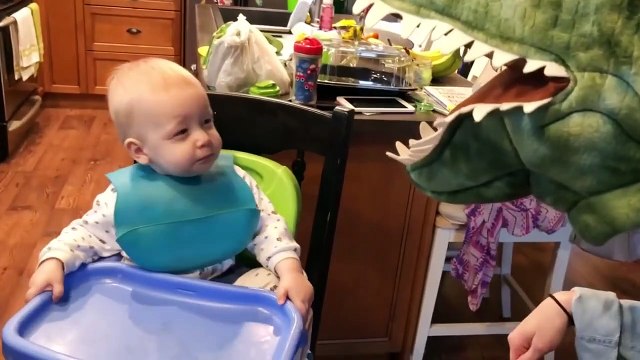 Baby and Animals Toy Fun and Fails - Funny Baby Video (2)