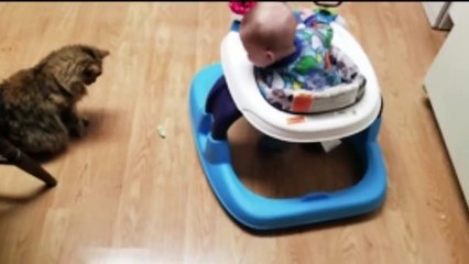 Naughty Baby and Cat Playing Together - Funny Baby and Pets Videos