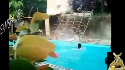 Ultimate Fail Video Try Not to Laugh   Funny Fail   Funny Animal