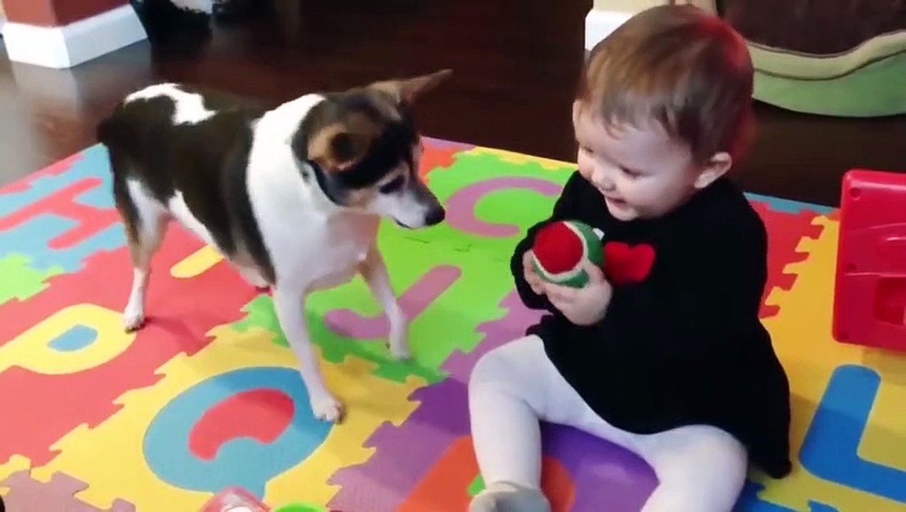 Funny Babies and Naughty Dogs are Best Friends - Fun and Fails Baby Video (2)