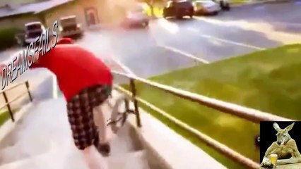 Ultimate Fail Video Try Not to Laugh  - Funny Fail - Funny Animal