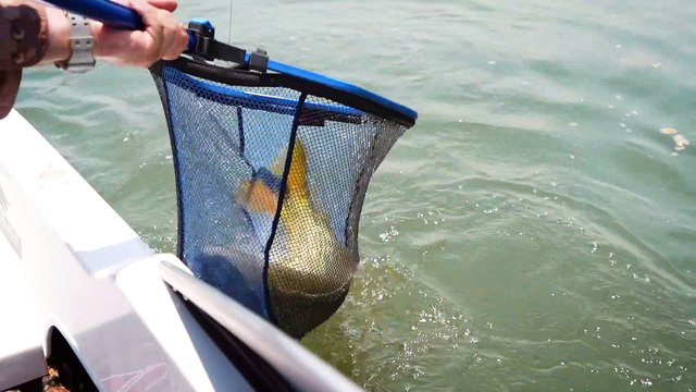 Dorado Turismo Corrientes-