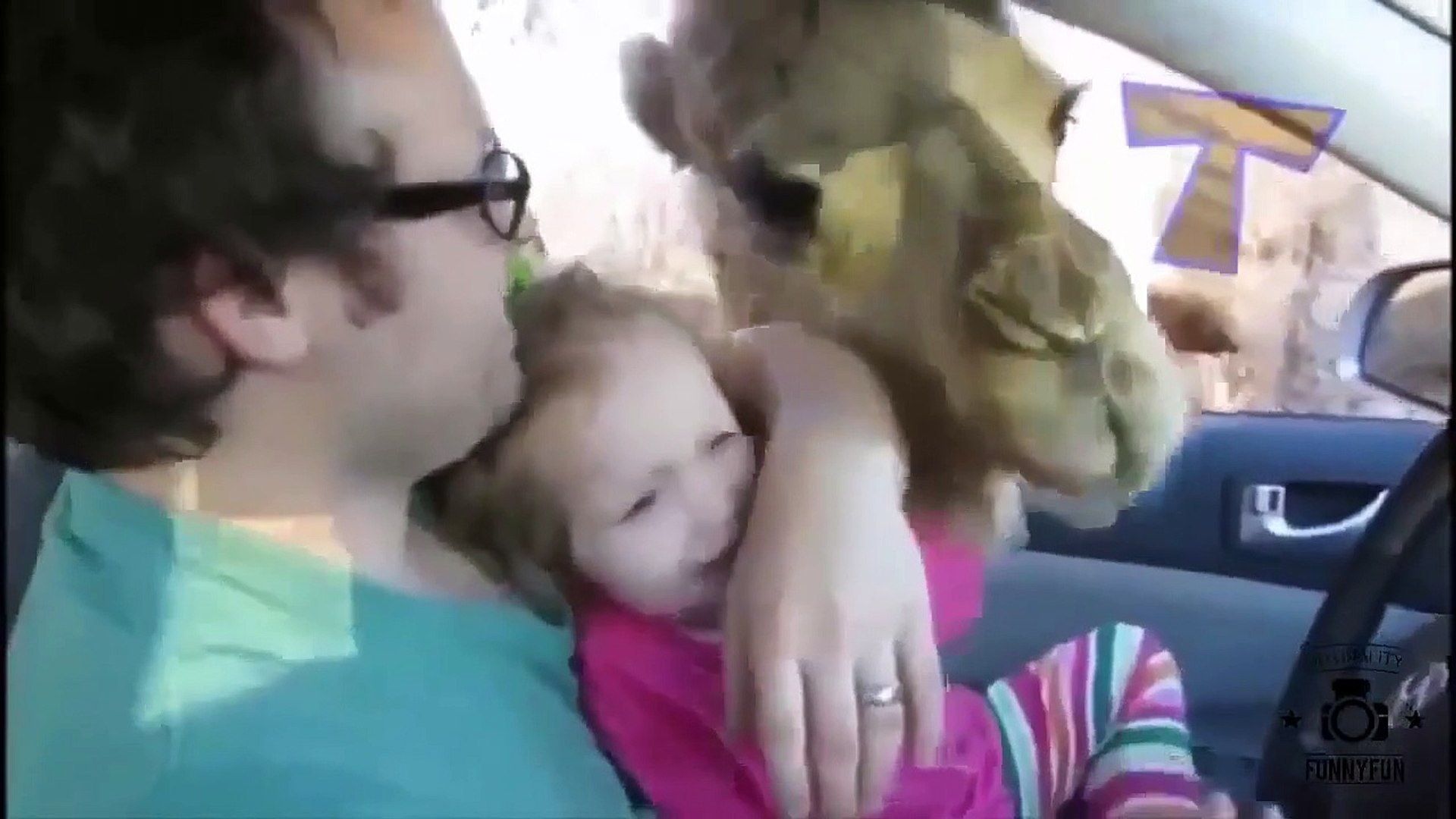 Funny Videos - Funny Animal - Best Funny Animals compilation 2015