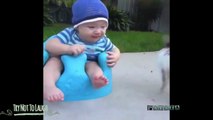 Funny Videos - Funny Animals - Animal Fails - Best Funny Animals 2015