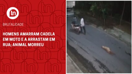 Homens amarram cadela em moto e a arrastam em rua; animal morreu