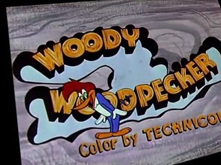 Woody Woodpecker Woody Woodpecker E062 – Private Eye Pooch