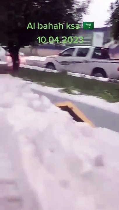 Snaptik.app_7220536011493838081