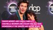 Shawn Mendes And Camila Cabello Not Back Together After Viral Coachella Kiss?