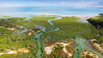 Spadely Station, North Curtis Island, Qld - April 18, 2023 - Farmonline