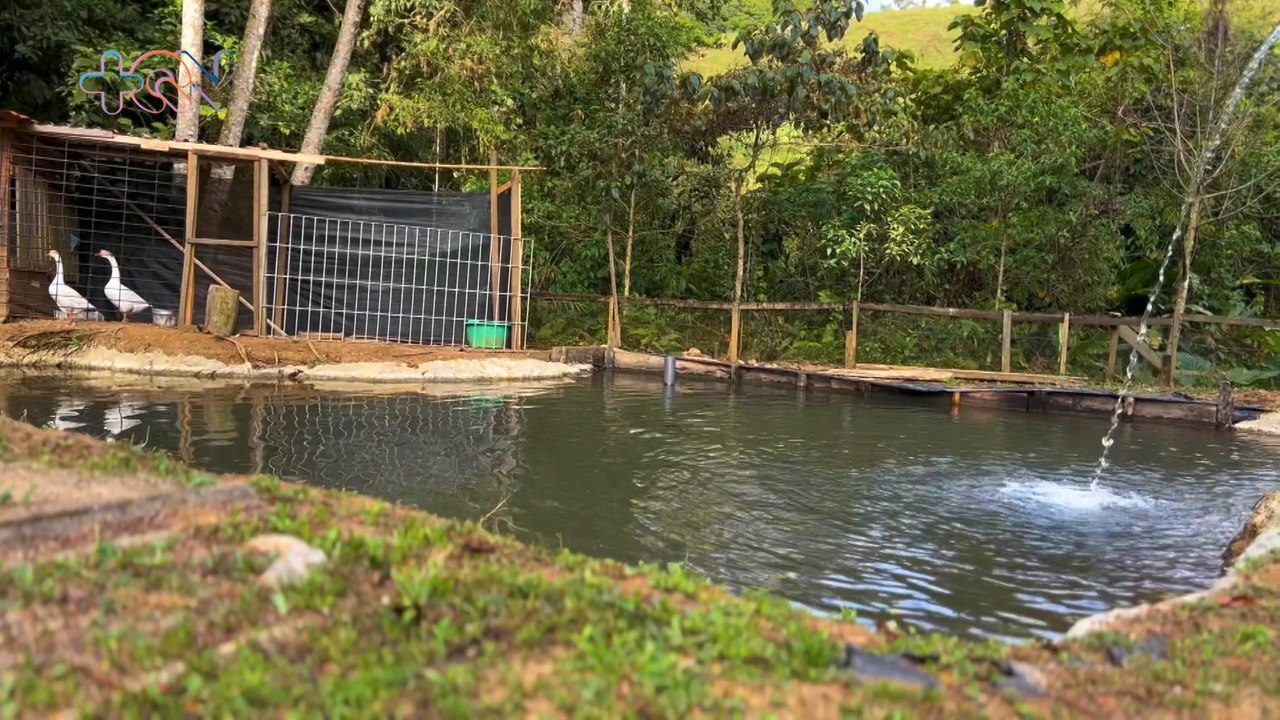 mqn-A Conectar con el Bosque, una granja, pescar truchas y disfrutar de la vista de Palmital. qn- A Conectar con el Bosque, una granja, pescar truchas y disfrutar de la vista de Palmital-170423