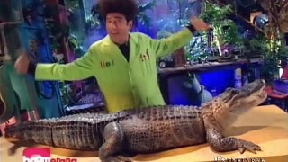 O O Mundo de Beakman S03E09 - Jacarés e Crocodilos, Mosquitos, Robôs