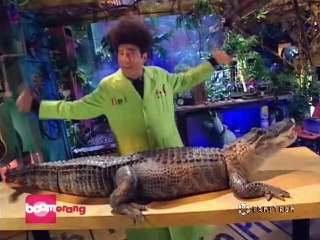 O O Mundo de Beakman S03E09 - Jacarés e Crocodilos, Mosquitos, Robôs