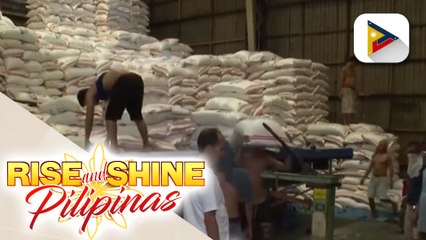 NFA Halts Imported Rice Purchases; Focus Shifts to Local Palay 📈