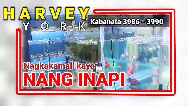 Nagkakamali kayo ng INAPI ( 3986 - 3990 )
