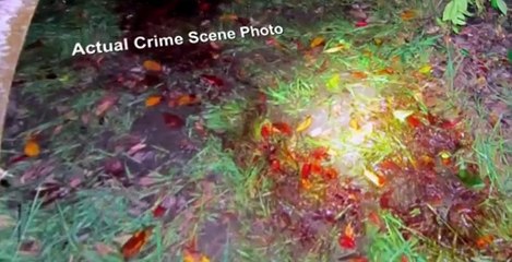 Still A Mystery S02 E01