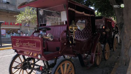 Recorridos gratuitos afectaron ingresos de calandrieros en el Centro de Guadalajara