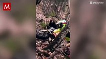 Se viraliza video de ataque de oso a Motociclistas