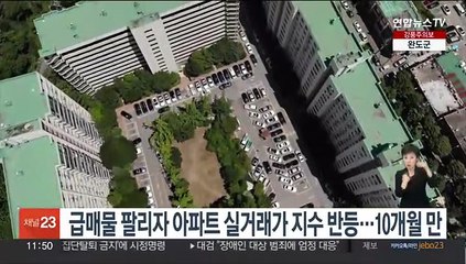 급매물 팔리자 아파트 실거래가지수 반등…10개월 만