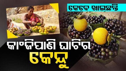 Tribals earn good profit by selling Kendu in Keonjhar’s Telkoi