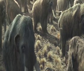 Must-Watch Hollywood Action Blockbuster of 2023 🎬