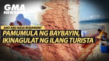 Pamumula ng baybayin, ikinagulat ng ilang turista | GMA News Feed