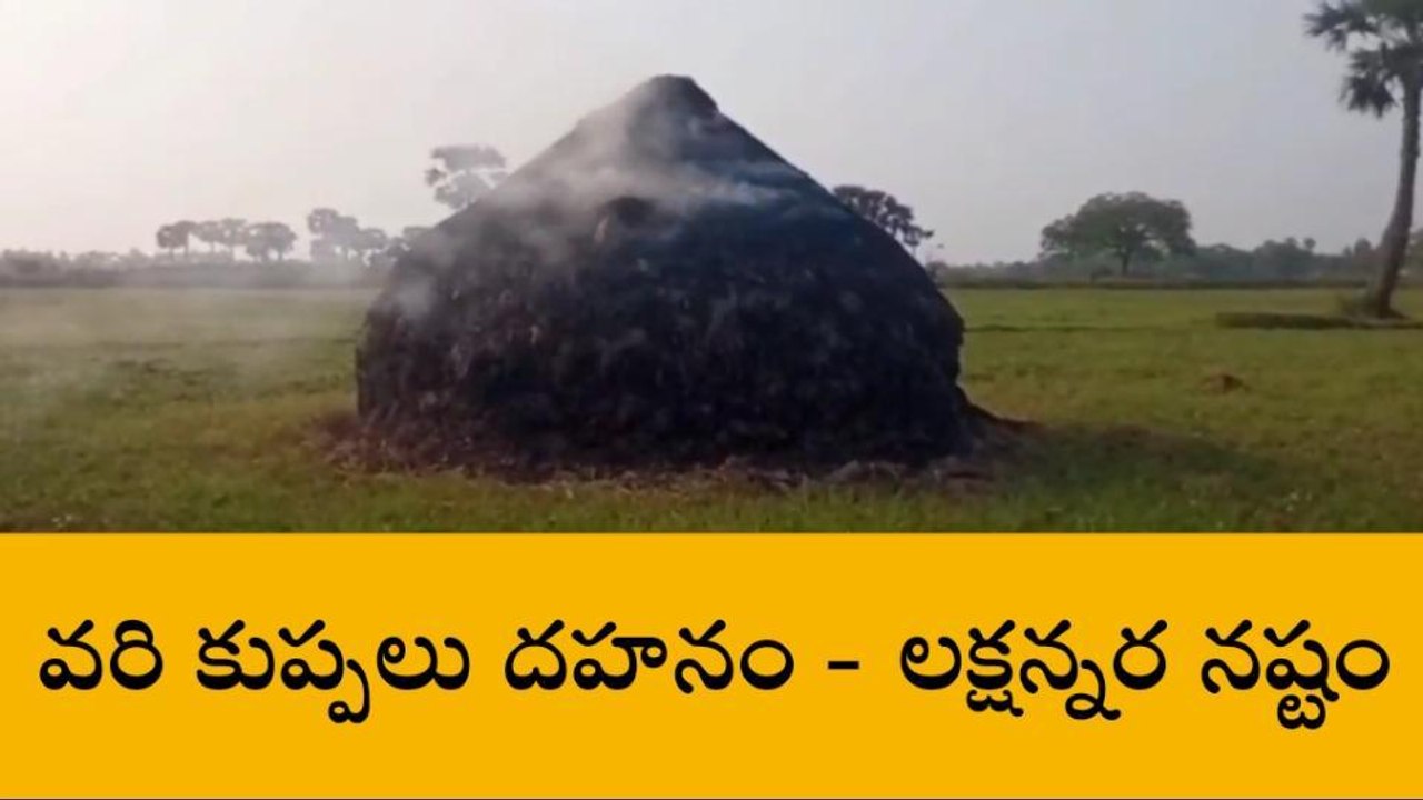 కృష్ణా జిల్లా: వరి కుప్పలకు నిప్పు పెట్టిన దుండగులు
